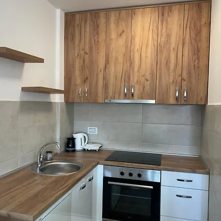 “sana” شقة Banja Koviljača