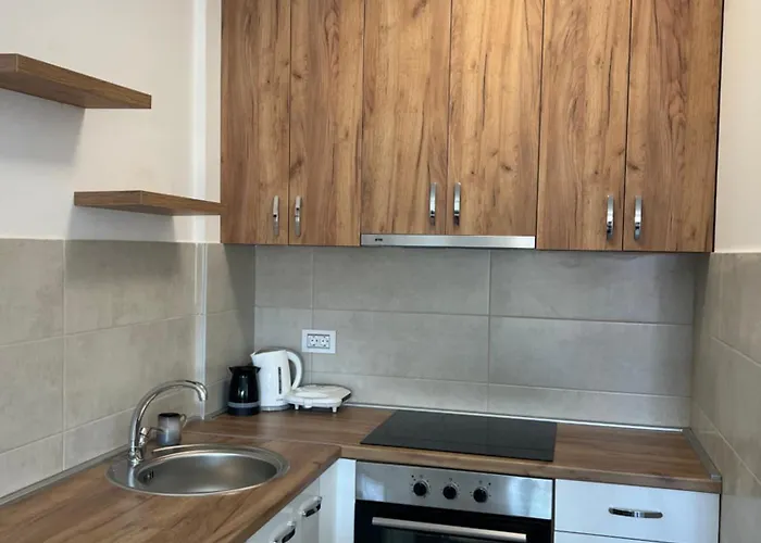 “sana” Apartament Banja Koviljača